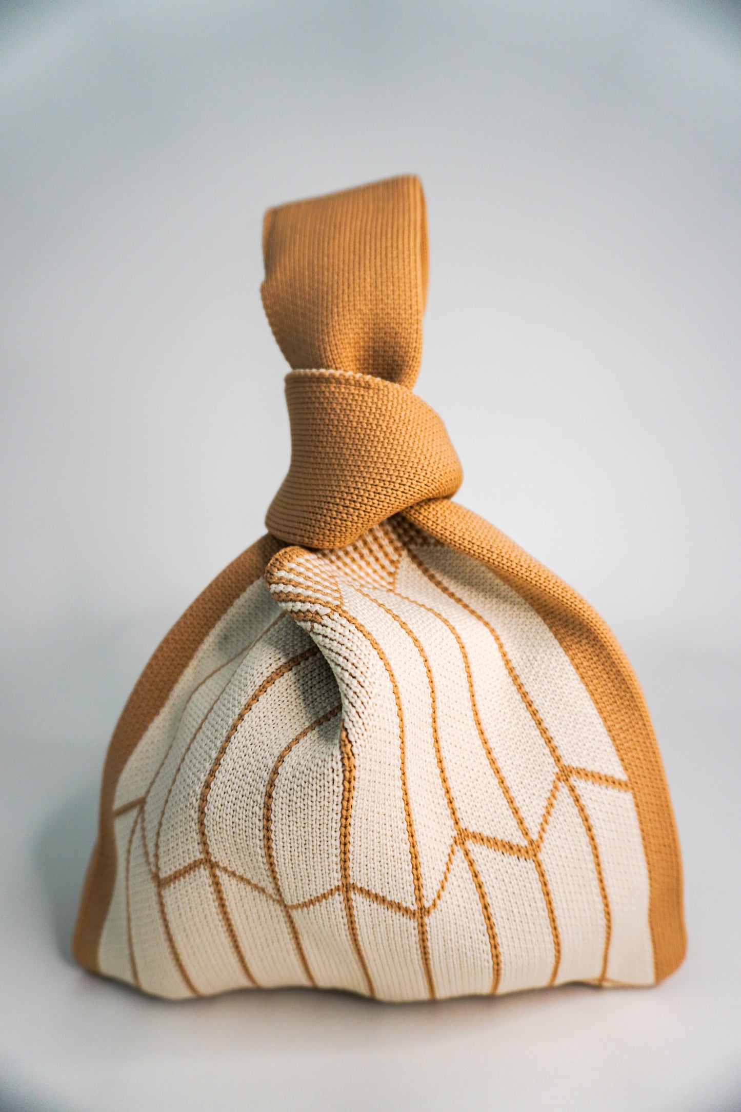 Tan Handbag