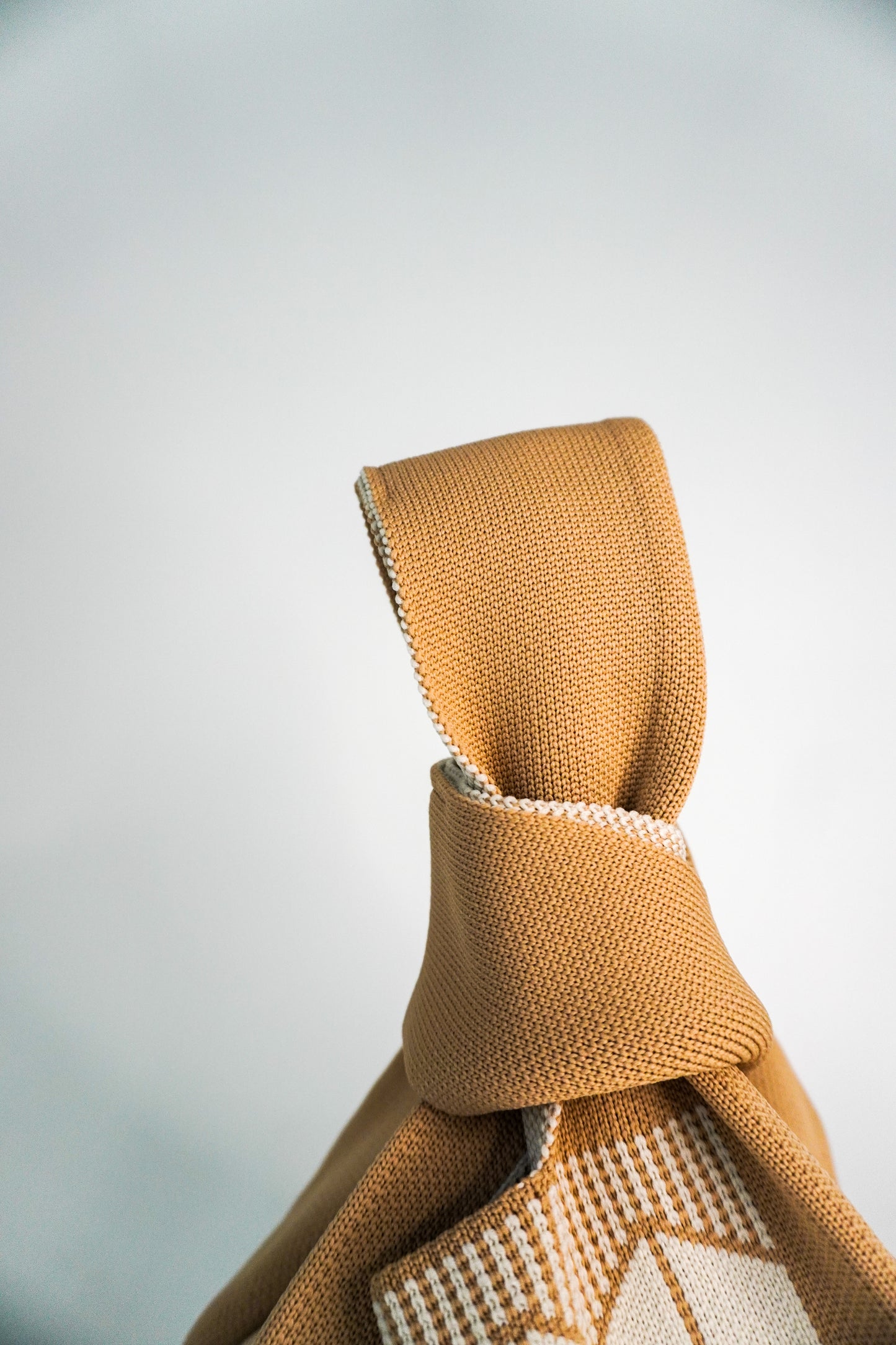 Tan Handbag