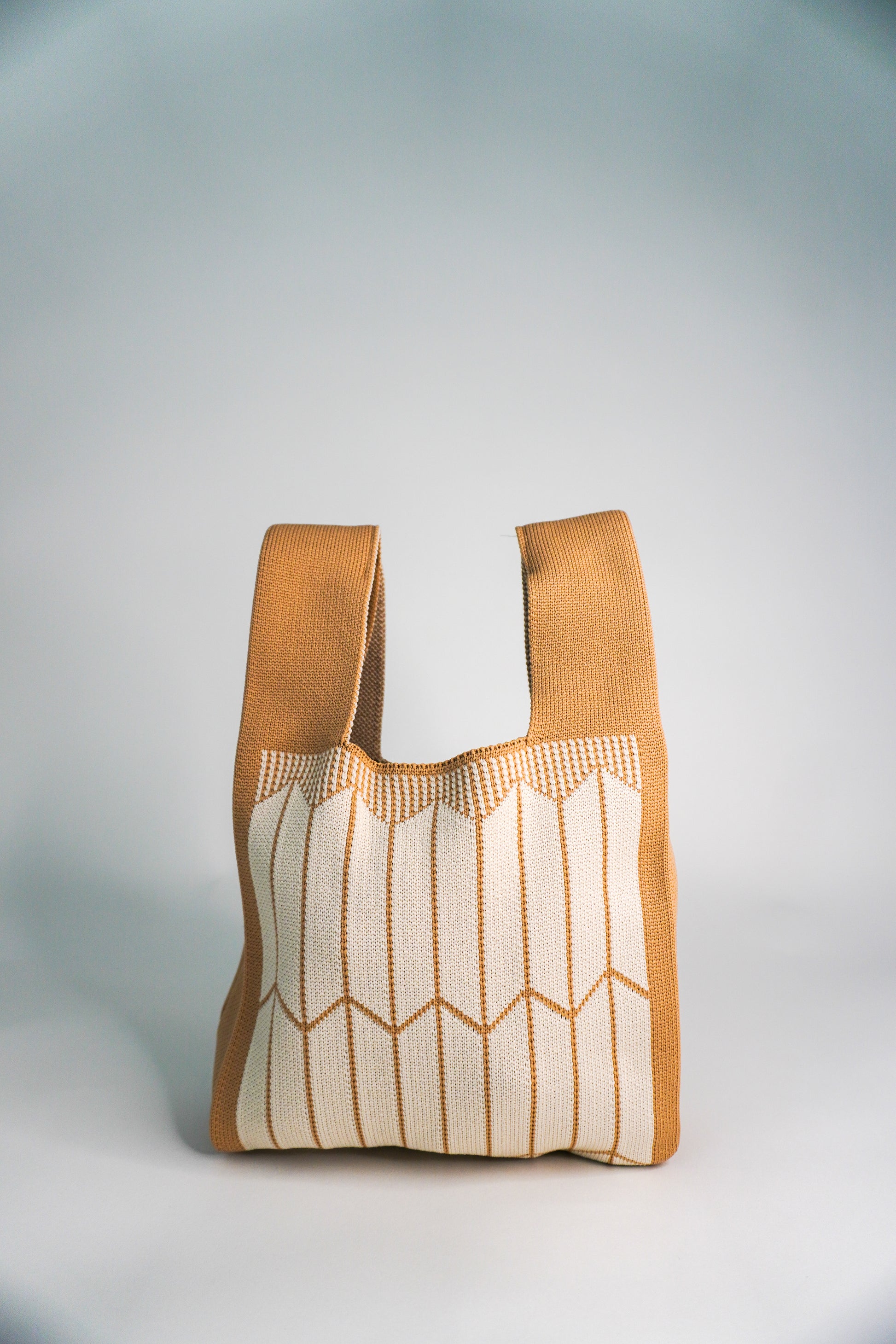 Tan Handbag